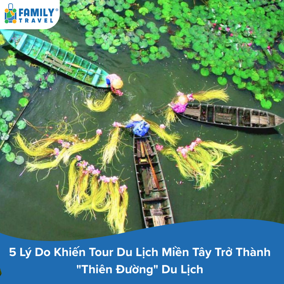 5 Lý Do Khiến Tour Du Lịch Miền Tây Trở Thành "Thiên Đường" Du Lịch
